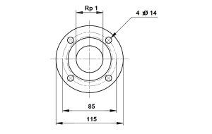 Grundfos, Gngflns, gnganslutning, DN25xRp25, DIN2566 i gruppen Pumpar / Pumptillbehr hos Din VVS-Butik (5824753)