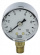 Beulco, 617A, Tryckmätare, utvändig gänga, nedåt, G6 Beulco, 617A, Tryckmätare, utvändig gänga, nedåt, G6