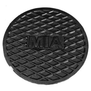 Brunnslock av segj�rn �225